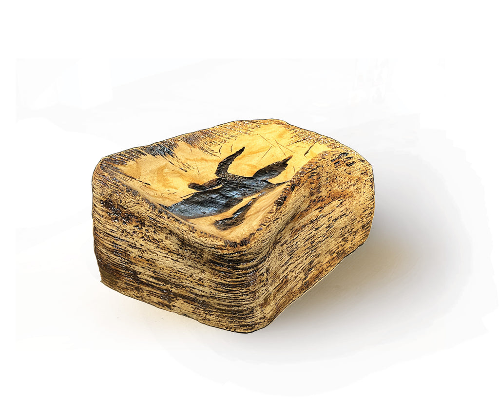 Lost &Found Object 18 - Aditya Sharma