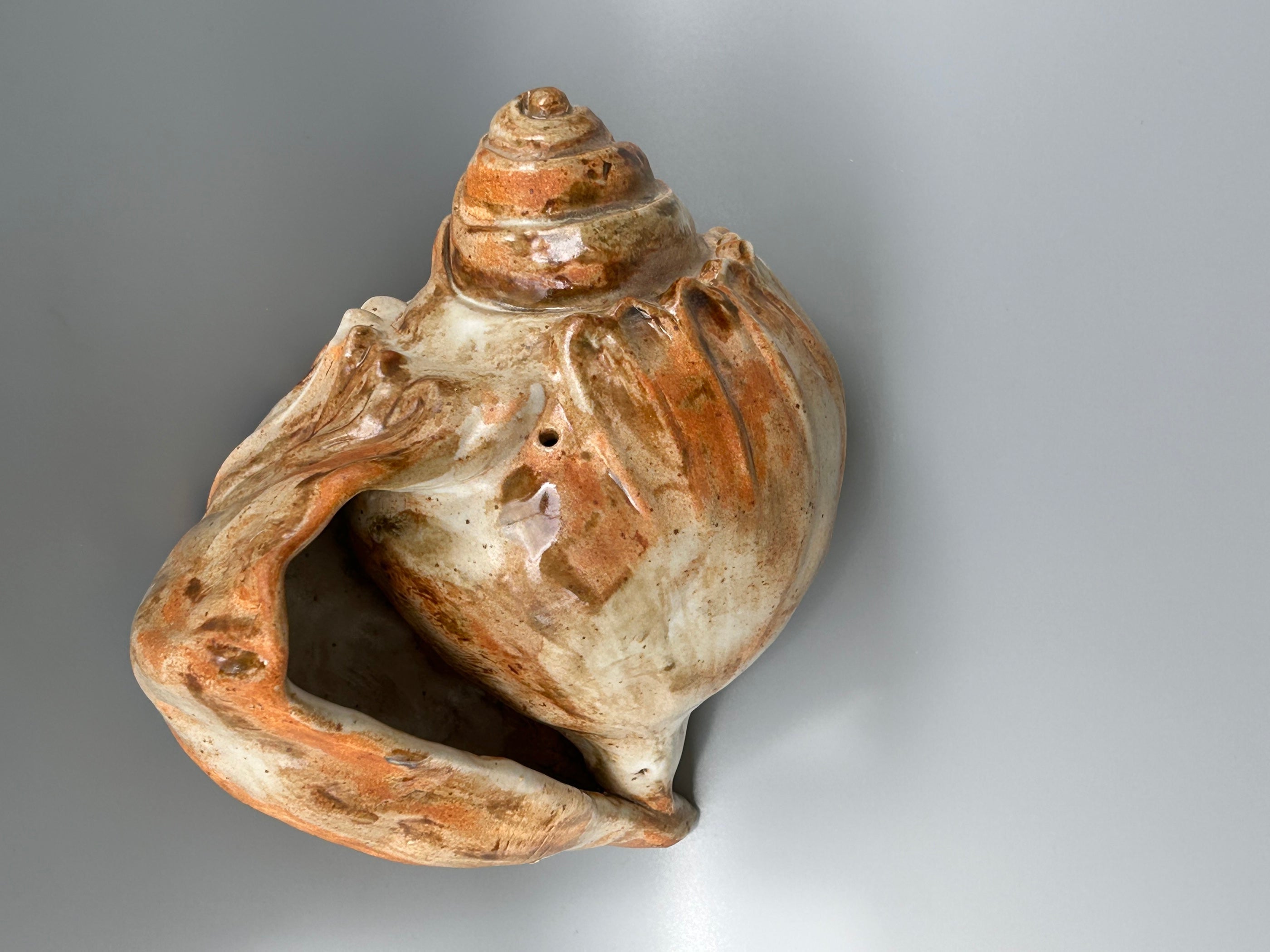 Ceramic seashell sculpture on a gray background