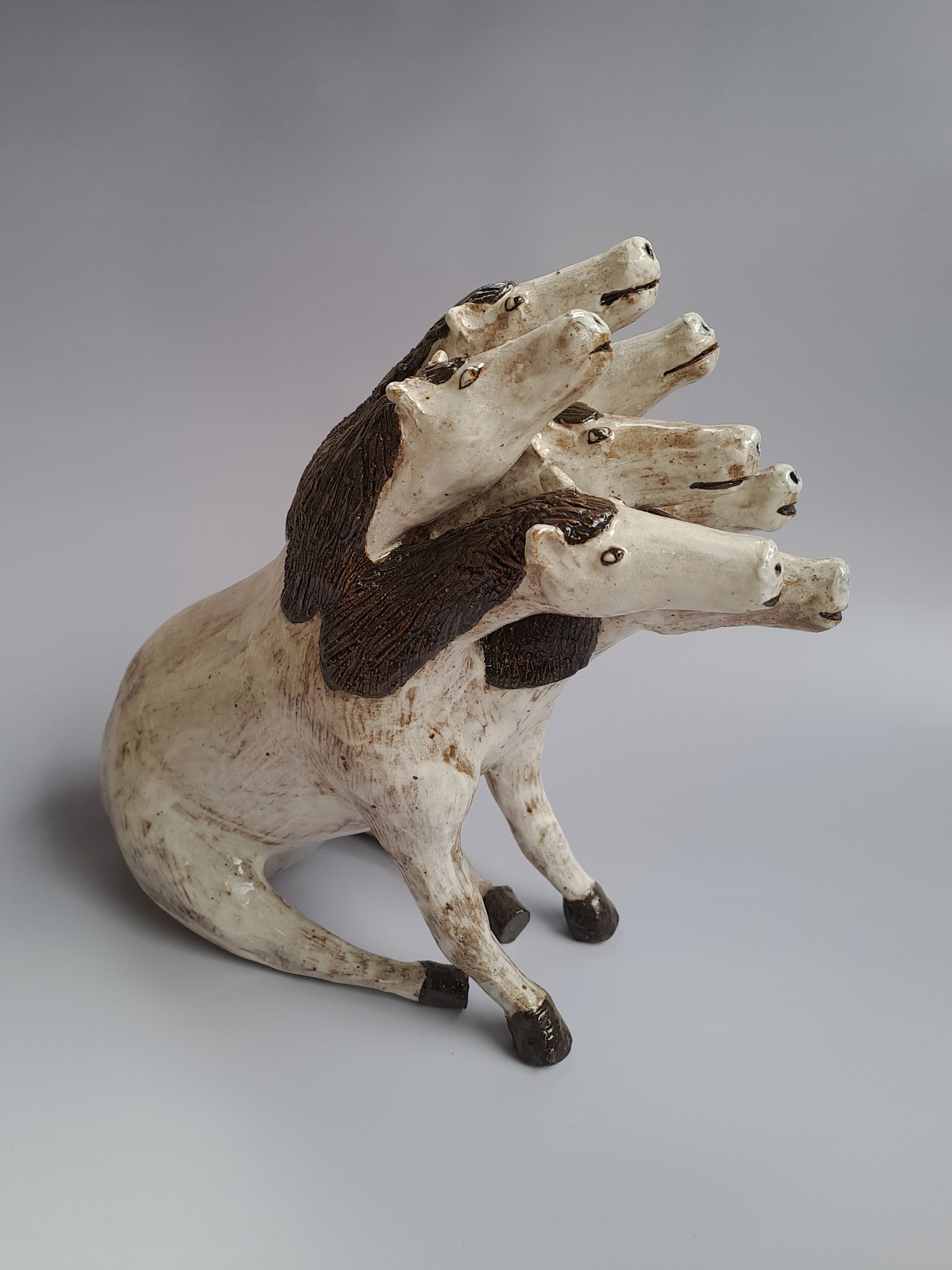 KING OF HORSES - Ruddhi Vichare