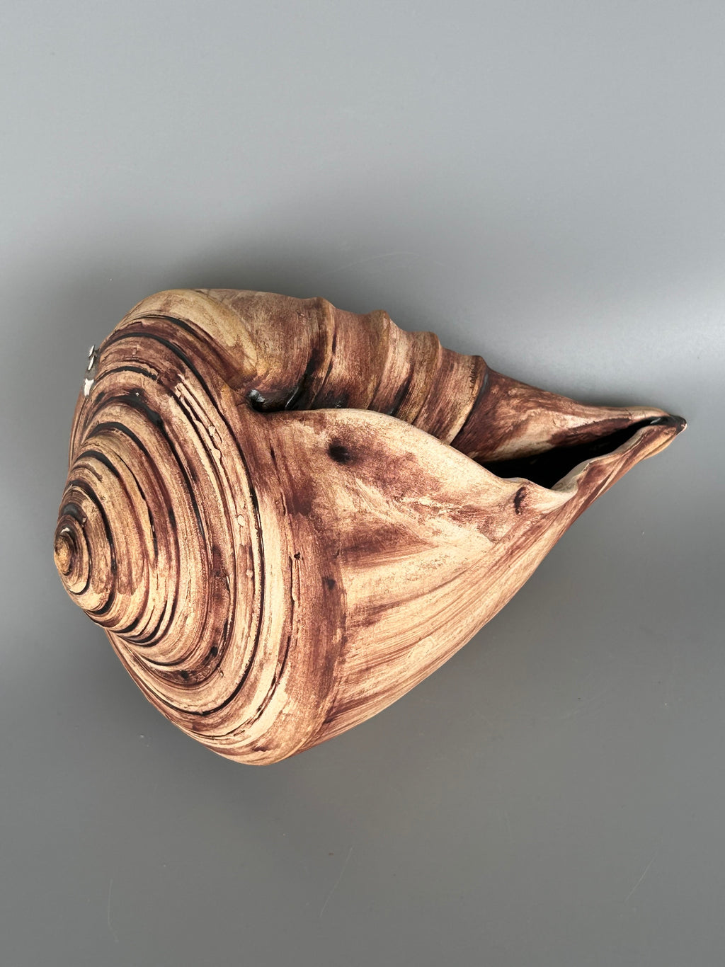 The Spiral - Kshitija Mitter