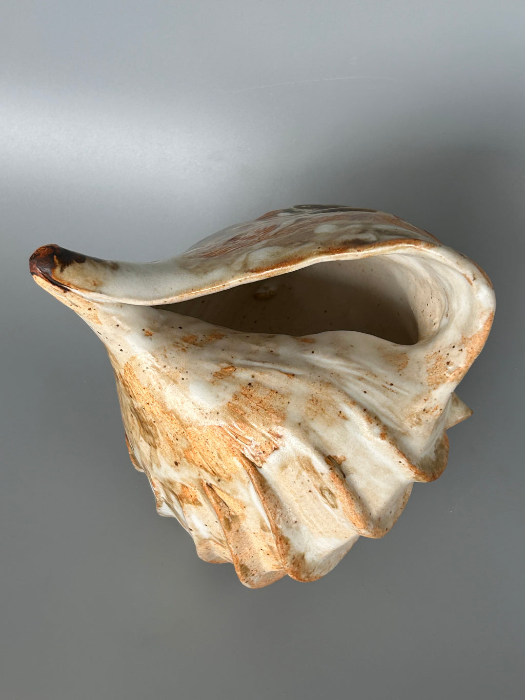 The Wave - Kshitija Mitter